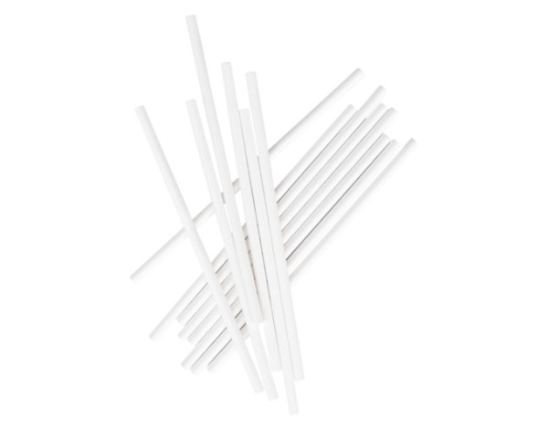 Cake-Pop-Stiele 10cm 50Stk.ws