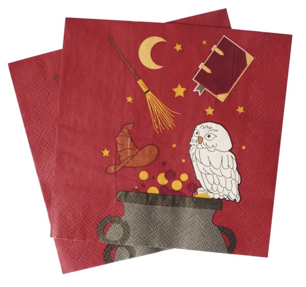 20er Set Papierserviette Zauberei 33x33cm
