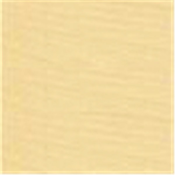 Tablett Gastronorm GN 1/1 Birke 53x32.5cm