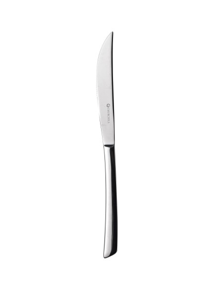 Evolve Steakmesser 24cm