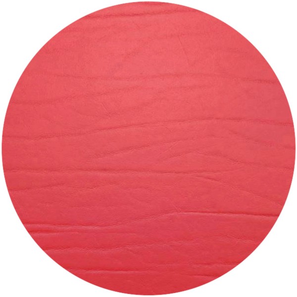 Dumbo Untersetzer Kirsche rund D10cm