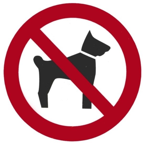 Schild HUNDEVERBOT 10 cm