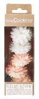 5er Set Dahlien aus Esspapier weiss, rosa