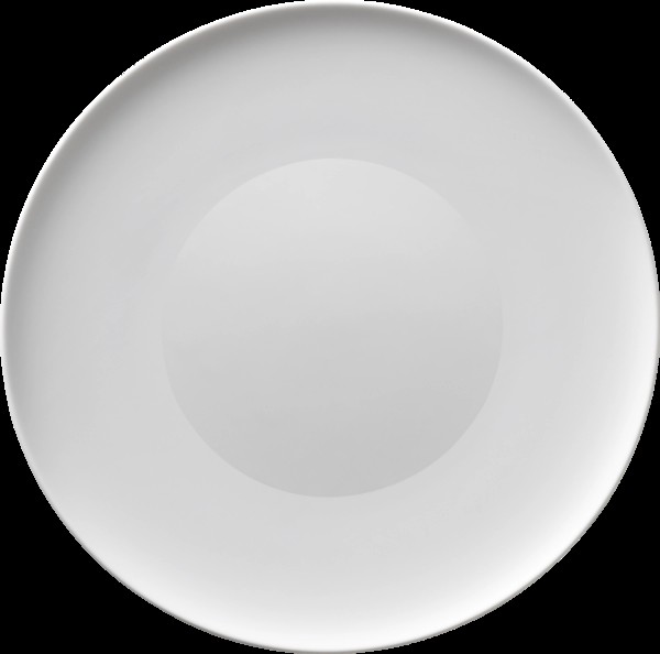 Essentials sandgestrahlt Teller flach coupe 29cm