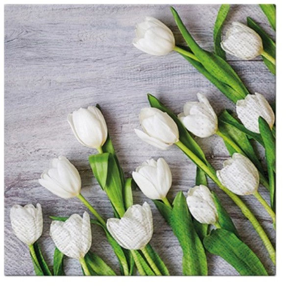 Servietten Lunch 20x Tulpen weiss, 33x33cm