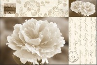 Nostalgic Peony Tischset 45x30 cm