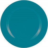 BBQ Speiseteller aqua blau 28 cm