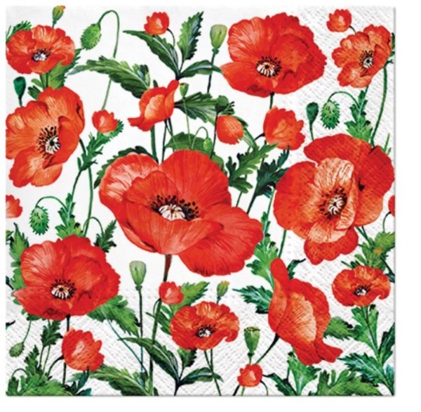 Servietten Lunch 20x Mohnblume, 33x33cm