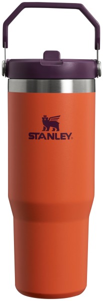 IceFlow Flip Straw Becher 0.89l tigerlily plum