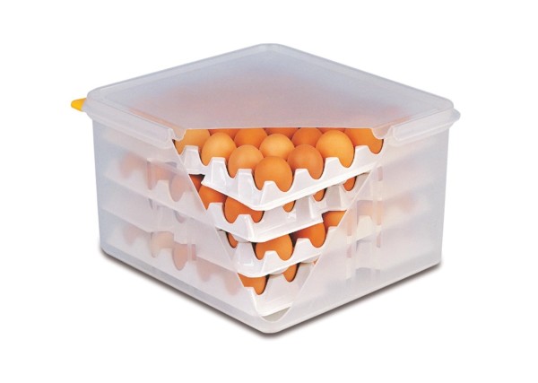 4 Lagen zu Eier-Box, passend zu Artikel Nr. 82419
