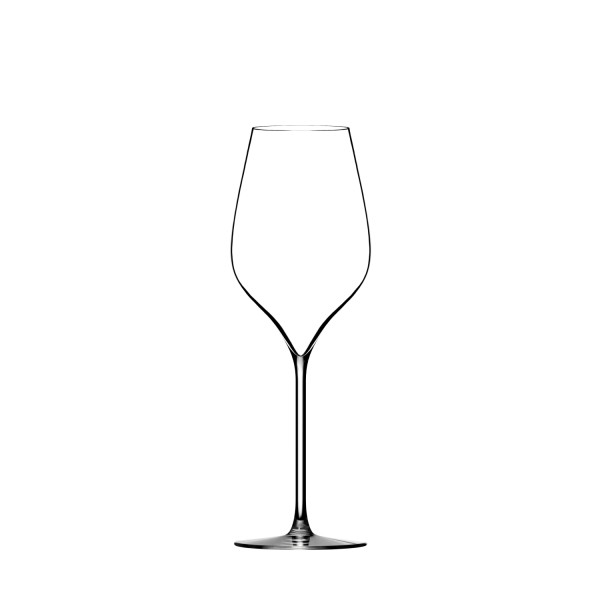 6er Set A. Lallement M5 Champagnerglas 30cl