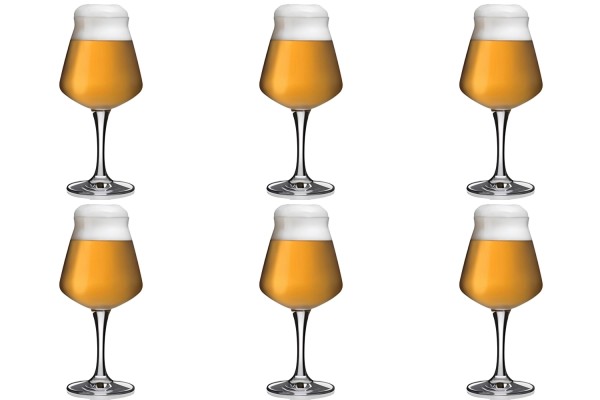 6er Set Teku Degu Kelch 42.5cl 19.6 cm