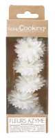 5er Set Dahlien aus Esspapier weiss