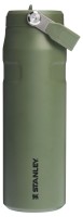 IceFlow Flip Straw Flasche 0.7l dried pine