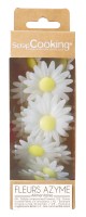 18er Set Margeriten aus Esspapier
