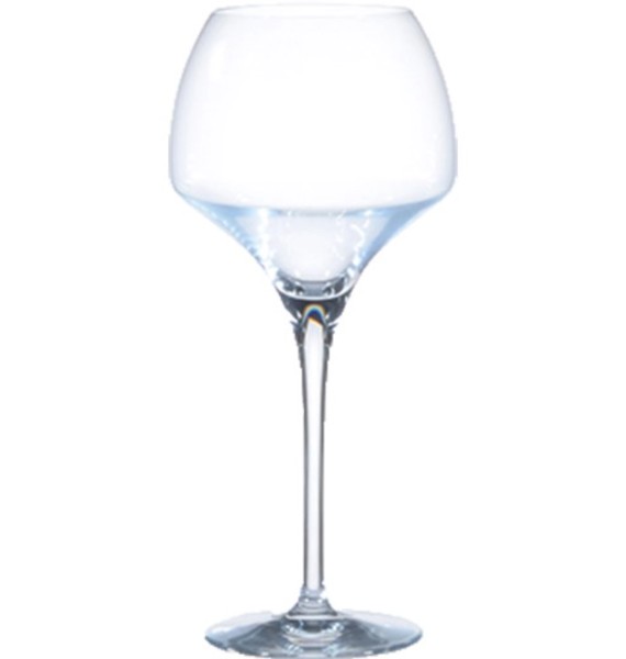 Open up Tannic Weinkelch 55cl Chef&Sommelier