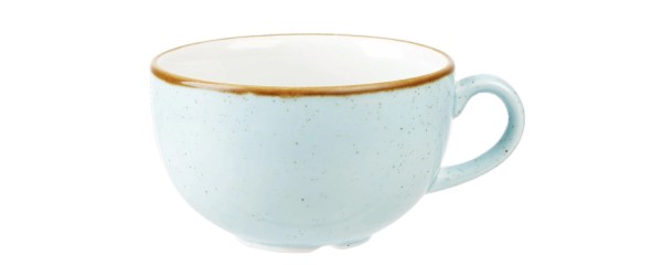 Stonecast Duck Egg Blue Tasse 34cl