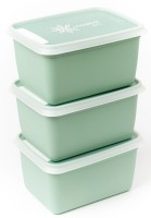 3er Set Alaska Bio Gefrierboxen 1000ml grün