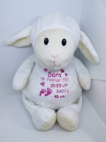 Embroider Buddy