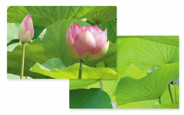 Lotus Tischset doppelseitig 45x30 cm