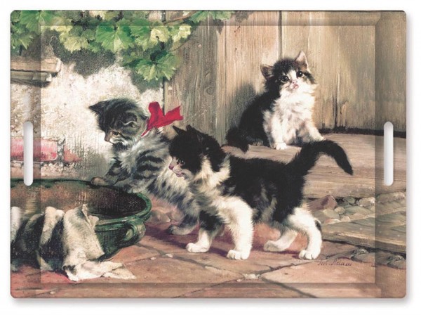 Porzellantasse kitties meeting