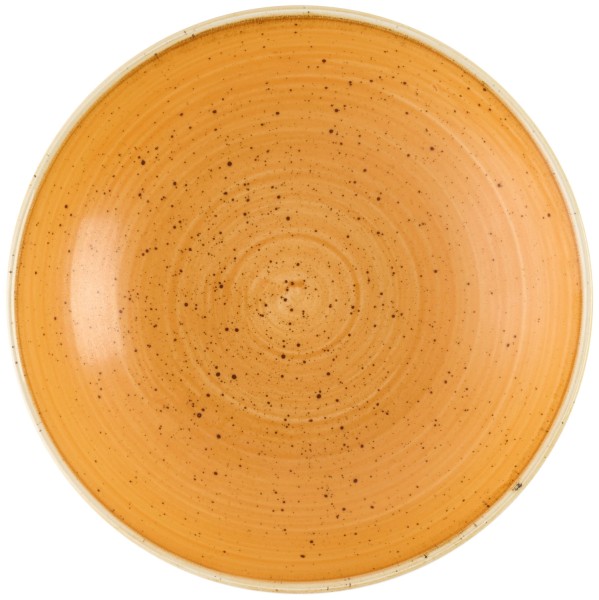 Stonecast Tangerine Coupe Teller Tief 18.2cm