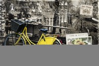 Velo Jaune Tischset 45x30cm