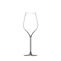 6er Set A. Lallement M5 Champagnerglas 30cl