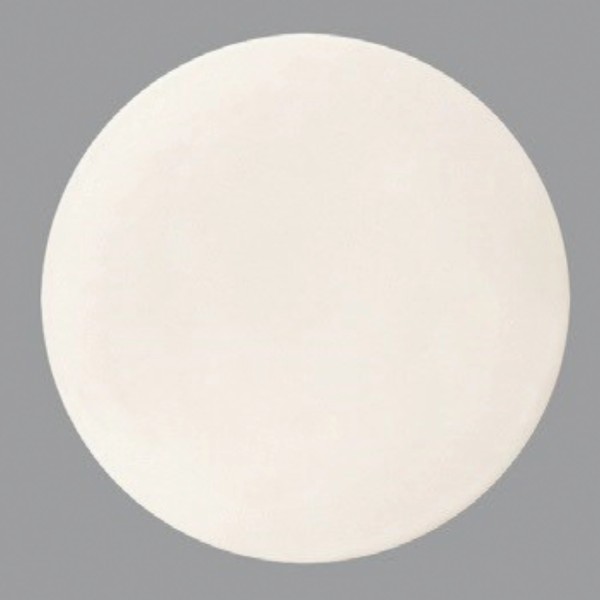 New Bone Gourmet Coupeteller flach 21cm