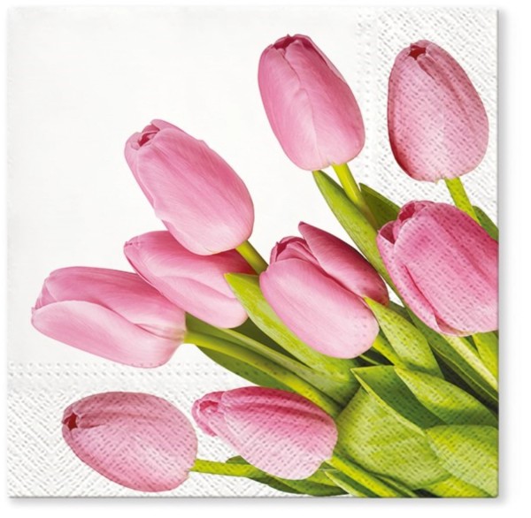 Servietten Lunch 20x Tulpen rosa, 33x33cm