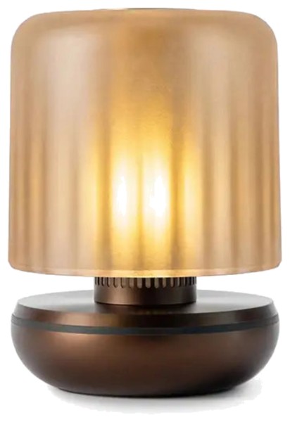 Firefly Tischlampe frosted 11.8x8.6cm bronze V2