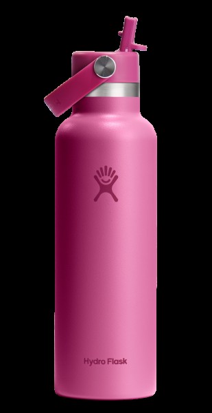 Trinkflasche Standard Flex Deckel m. Strohhalm 620ml reef