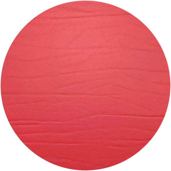 Dumbo Untersetzer Kirsche rund D20cm