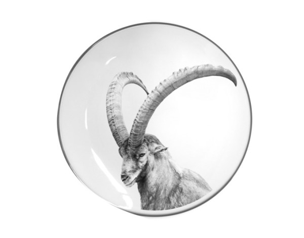 Teller flach Steinbock ws ø21