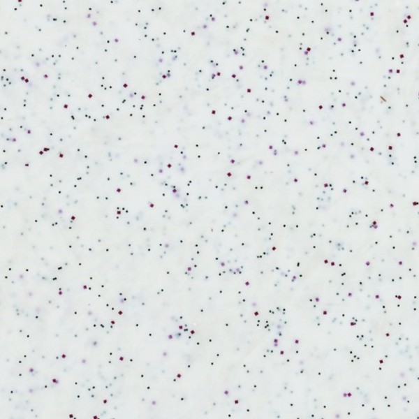 Tablett GN1/1 Polyclassic, Weiss