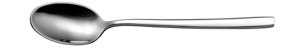 Mini Appetizer Löffel Edelstahl 11.5cm