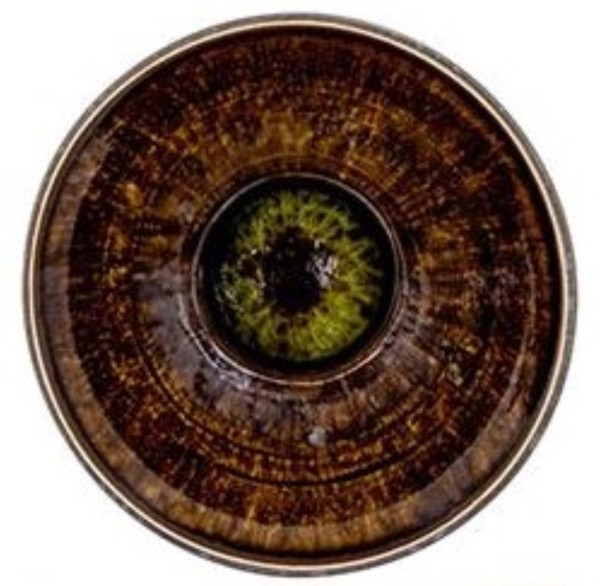 Elements Aperoschale mini D8cm H3.8cm Porzellan gün anth.