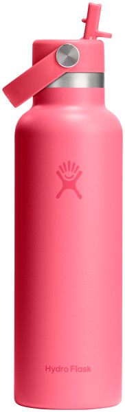 Trinkflasche Standard Flex Deckel m. Strohhalm 620ml popstar